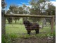 635 Brown Road, Officer VIC 3809
