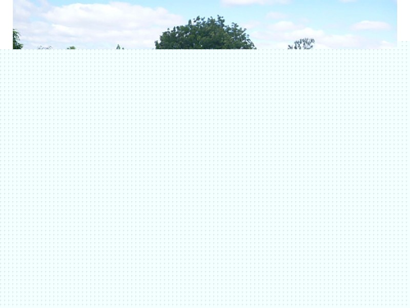 2 Coronata Court, Narre Warren VIC 3805