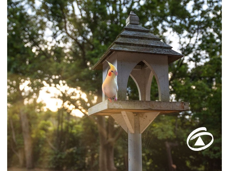 9 Lenne Street, Beaconsfield Upper VIC 3808