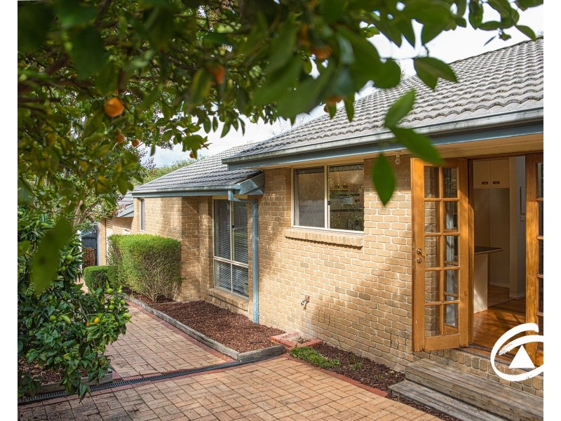 16 Wanderer Court, Berwick VIC 3806