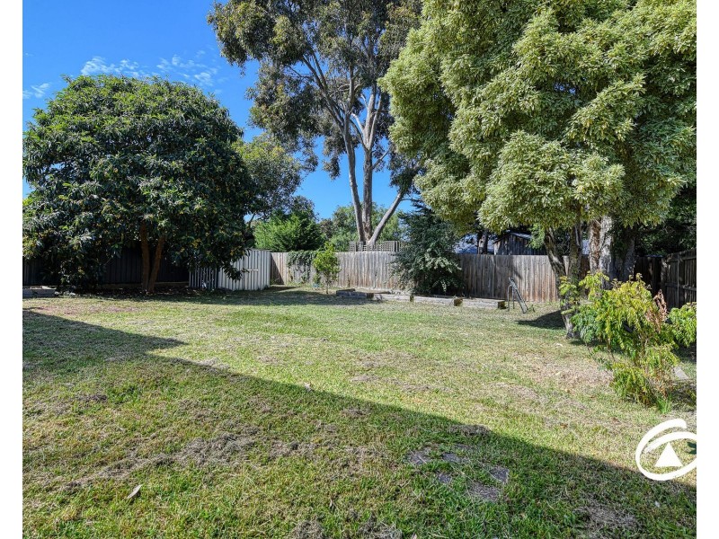 36 Cheviot Avenue, Berwick VIC 3806
