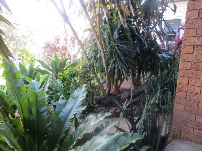 Scotts Head NSW 2447