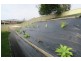 11 Laura  Place, Macksville NSW 2447