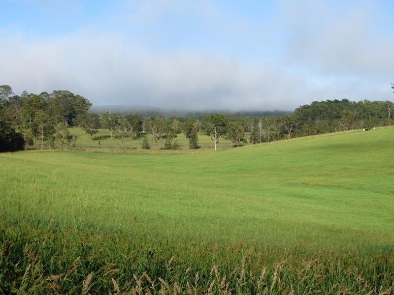 Lot 2 Rodeo Drive, Wirrimbi NSW 2447