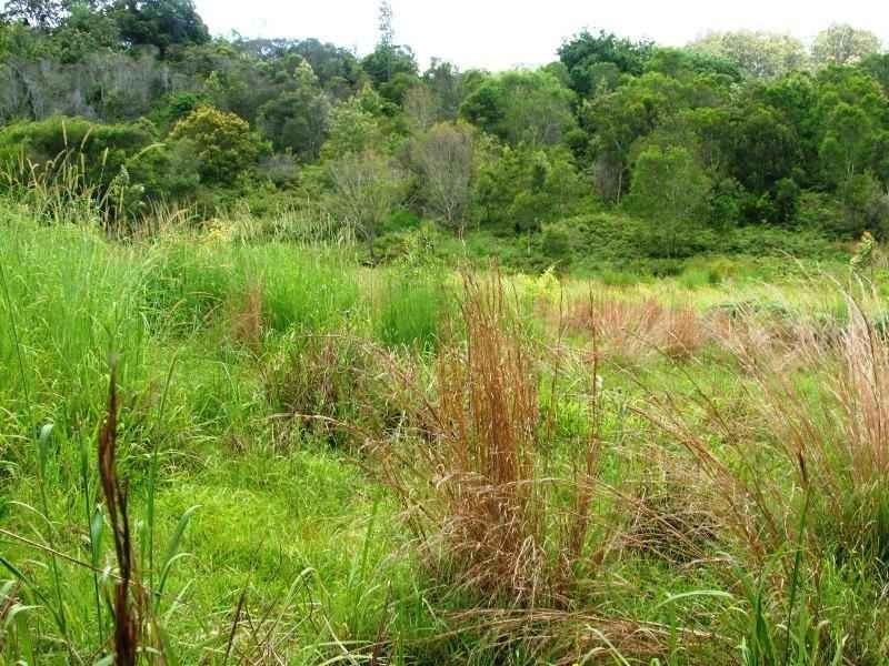 202 Elliots Road, Tamban NSW 2441