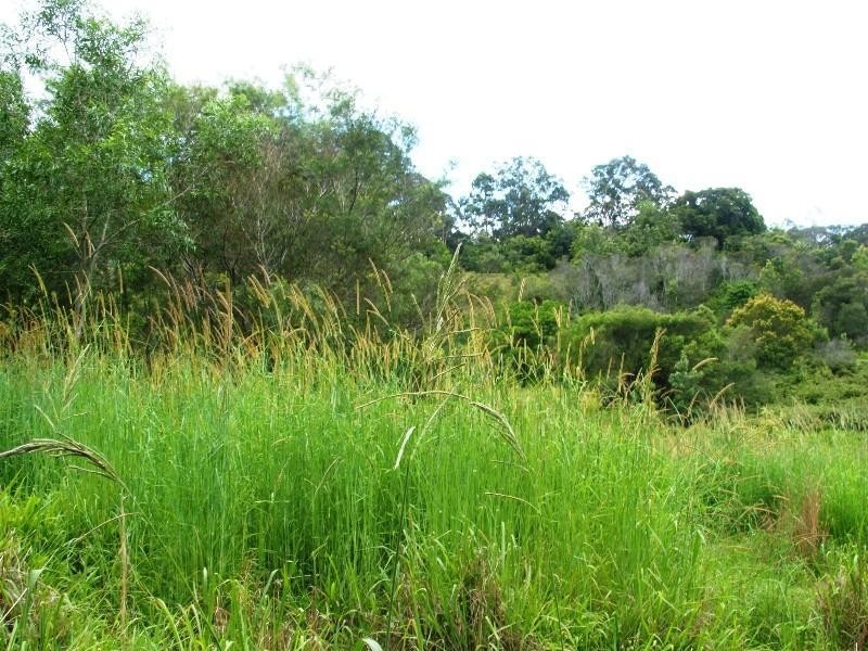 202 Elliots Road, Tamban NSW 2441