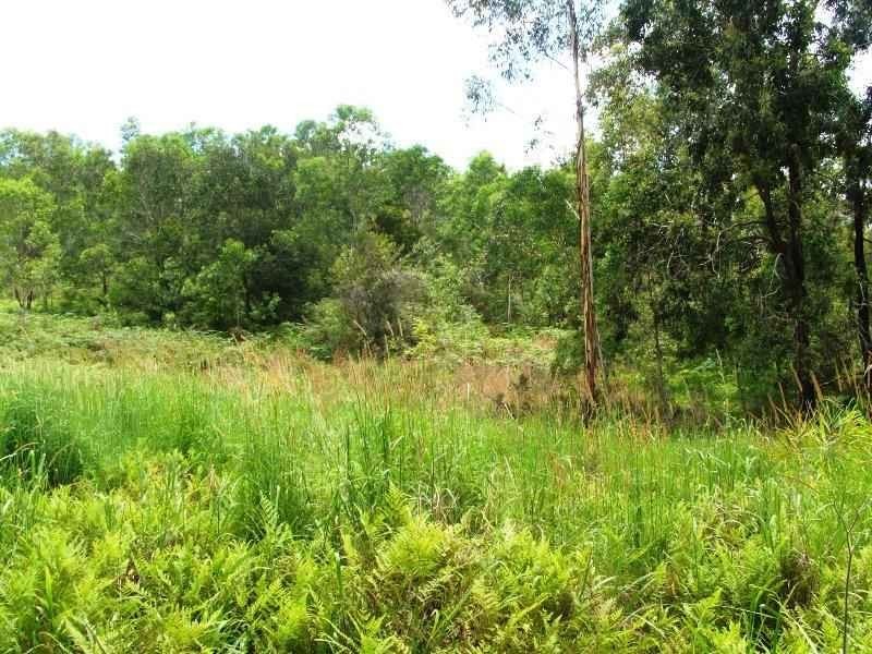 202 Elliots Road, Tamban NSW 2441