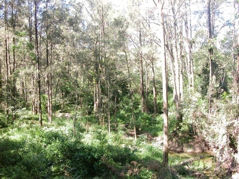 1200 Missabotti Road, Missabotti NSW 2449