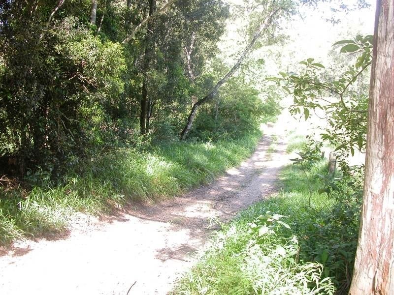 1200 Missabotti Road, Missabotti NSW 2449