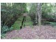 183 Little Thumb Creek Rd, Thumb Creek NSW 2447