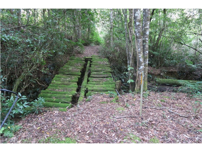 183 Little Thumb Creek Rd, Thumb Creek NSW 2447