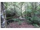 183 Little Thumb Creek Rd, Thumb Creek NSW 2447