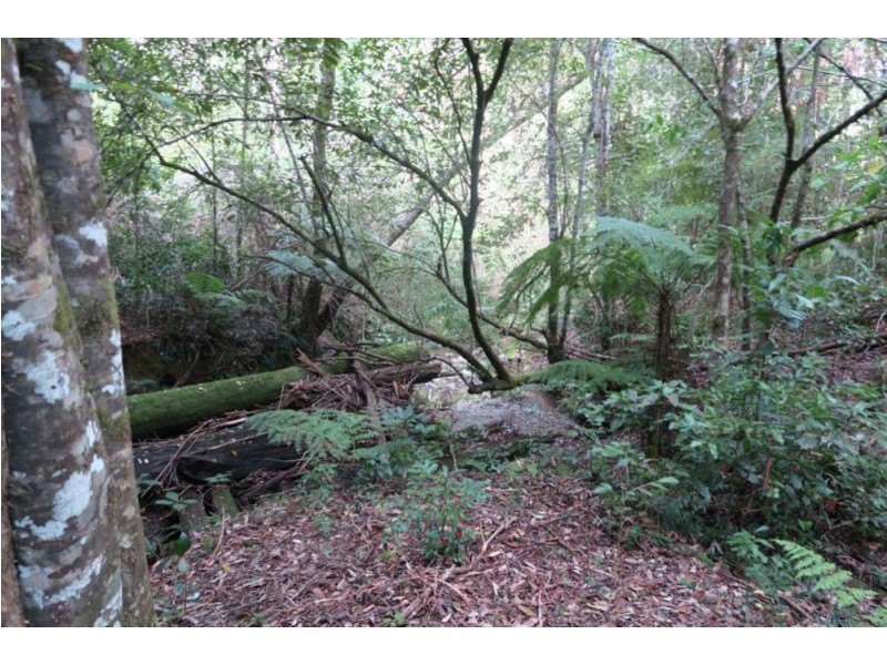 183 Little Thumb Creek Rd, Thumb Creek NSW 2447