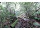 183 Little Thumb Creek Rd, Thumb Creek NSW 2447