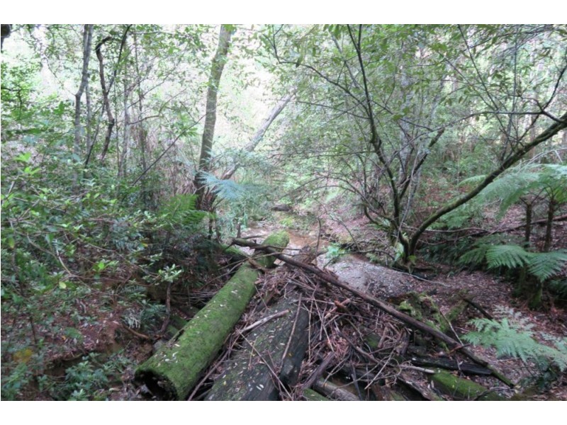183 Little Thumb Creek Rd, Thumb Creek NSW 2447