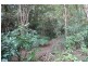 183 Little Thumb Creek Rd, Thumb Creek NSW 2447