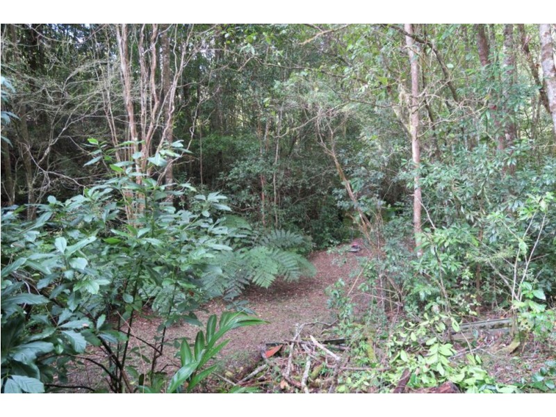 183 Little Thumb Creek Rd, Thumb Creek NSW 2447