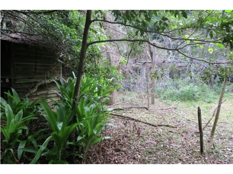 183 Little Thumb Creek Rd, Thumb Creek NSW 2447