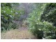 183 Little Thumb Creek Rd, Thumb Creek NSW 2447