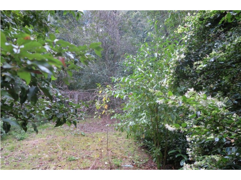 183 Little Thumb Creek Rd, Thumb Creek NSW 2447