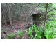 183 Little Thumb Creek Rd, Thumb Creek NSW 2447