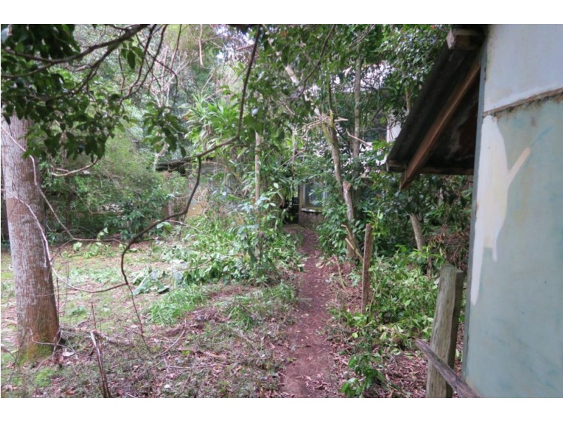 183 Little Thumb Creek Rd, Thumb Creek NSW 2447