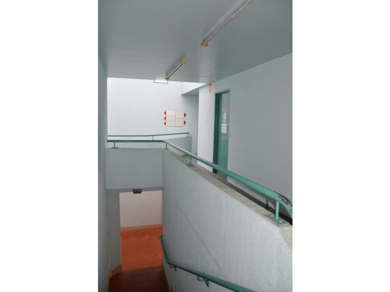 17 Wallace St, Macksville NSW 2447