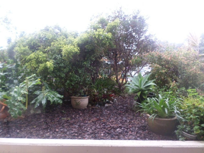 Nambucca Heads NSW 2448