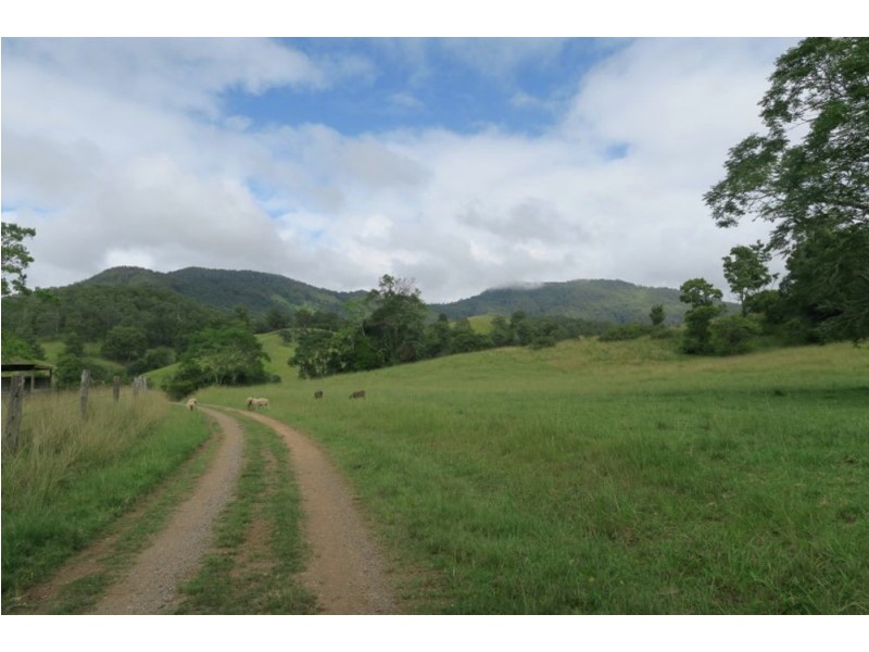 Lot 1067 SHEET OF BARK RD,, Burrapine NSW 2447