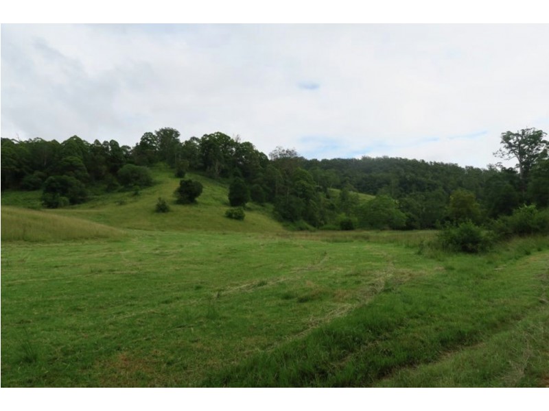 Lot 1068 SHEET OF BARK RD, Burrapine NSW 2447