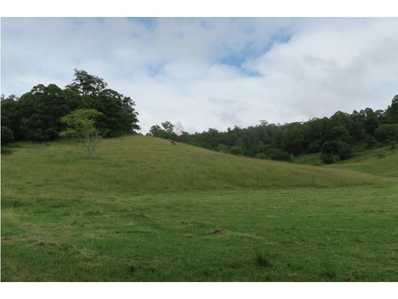 Lot 1068 SHEET OF BARK RD, Burrapine NSW 2447