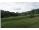 Lot 1068 SHEET OF BARK RD, Burrapine NSW 2447
