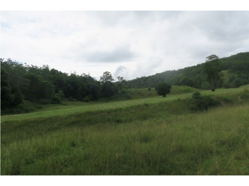 Lot 1068 SHEET OF BARK RD, Burrapine NSW 2447