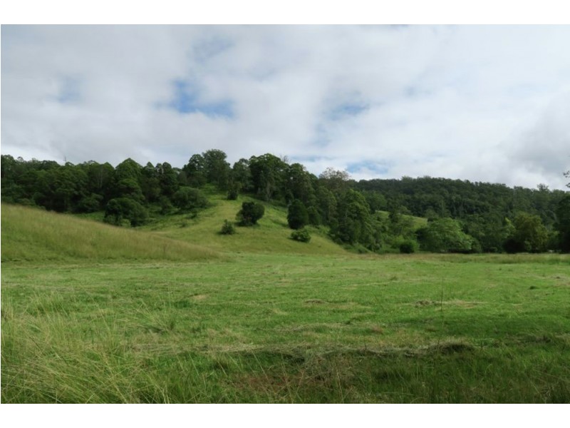 Lot 1068 SHEET OF BARK RD, Burrapine NSW 2447