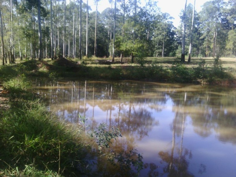 14 Pacific Highway, Macksville NSW 2447