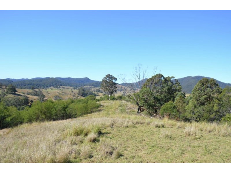 802 Bakers Creek Rd, Taylors Arm NSW 2447