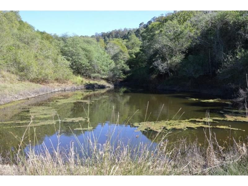 802 Bakers Creek Rd, Taylors Arm NSW 2447