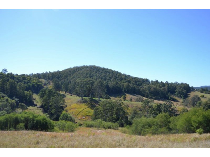 802 Bakers Creek Rd, Taylors Arm NSW 2447