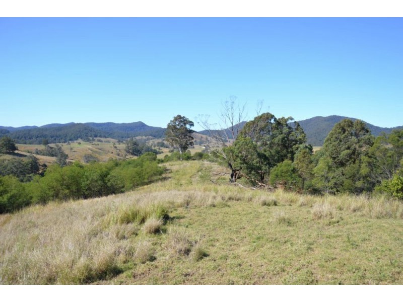 802 Bakers Creek Rd, Taylors Arm NSW 2447