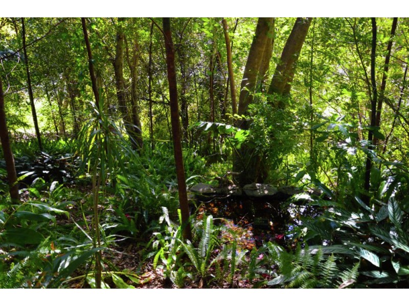 2 Taylors Arm Rd, Macksville NSW 2447