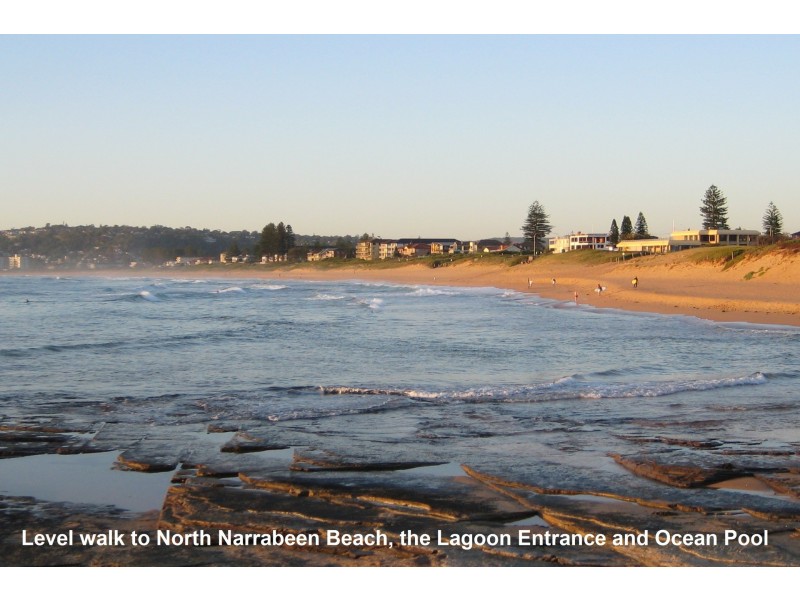 49 Alleyne Avenue, North Narrabeen NSW 2101