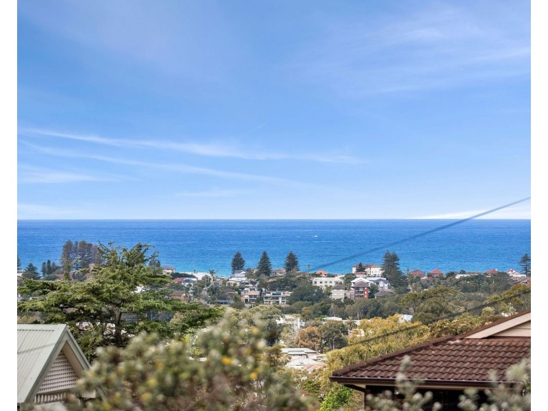 41 Weeroona Avenue, Elanora Heights NSW 2101