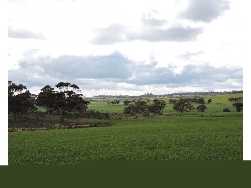 6631 CUNDERDIN-QUAIRADING ROAD, Youndegin WA 6407