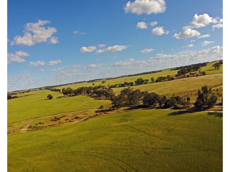 6631 CUNDERDIN-QUAIRADING ROAD, Youndegin WA 6407