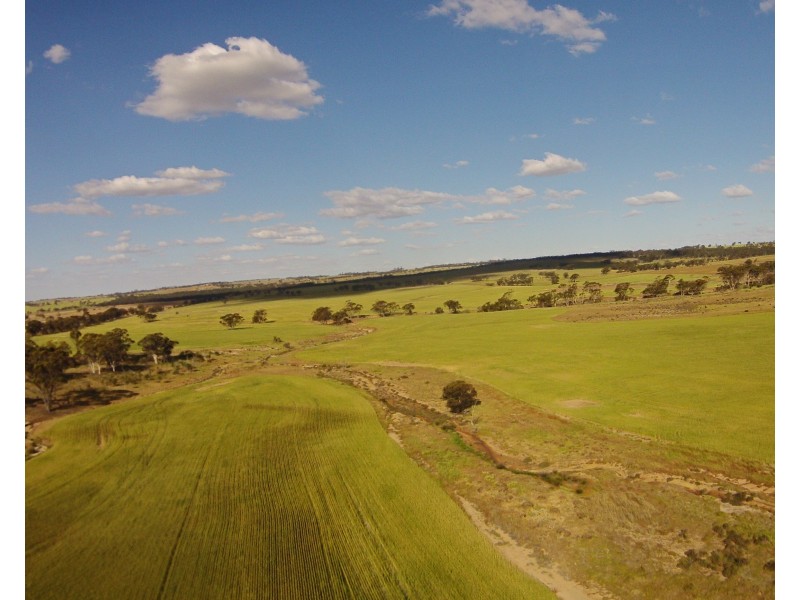 6631 CUNDERDIN-QUAIRADING ROAD, Youndegin WA 6407