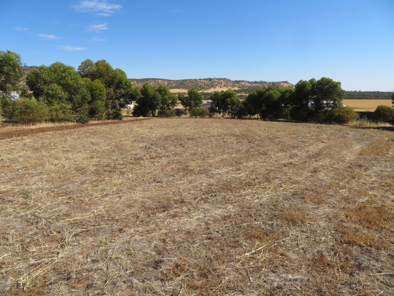 51 Langford Cresent, York WA 6302