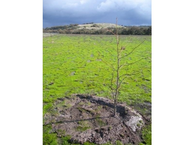 39 Knotts Road, York WA 6302