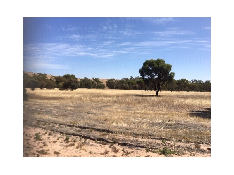 39 Knotts Road, York WA 6302