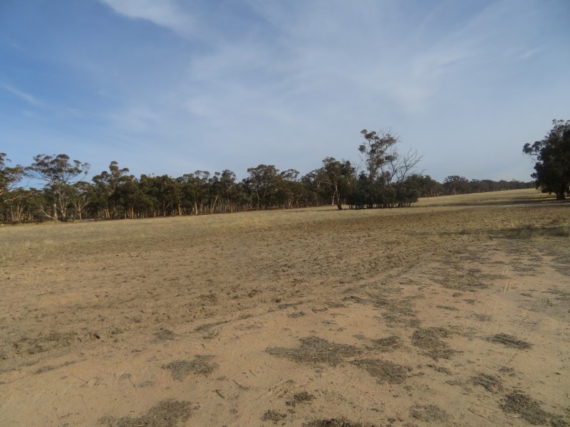 18717 Mawson Doodenanning Balkuling, Quairading WA 6383