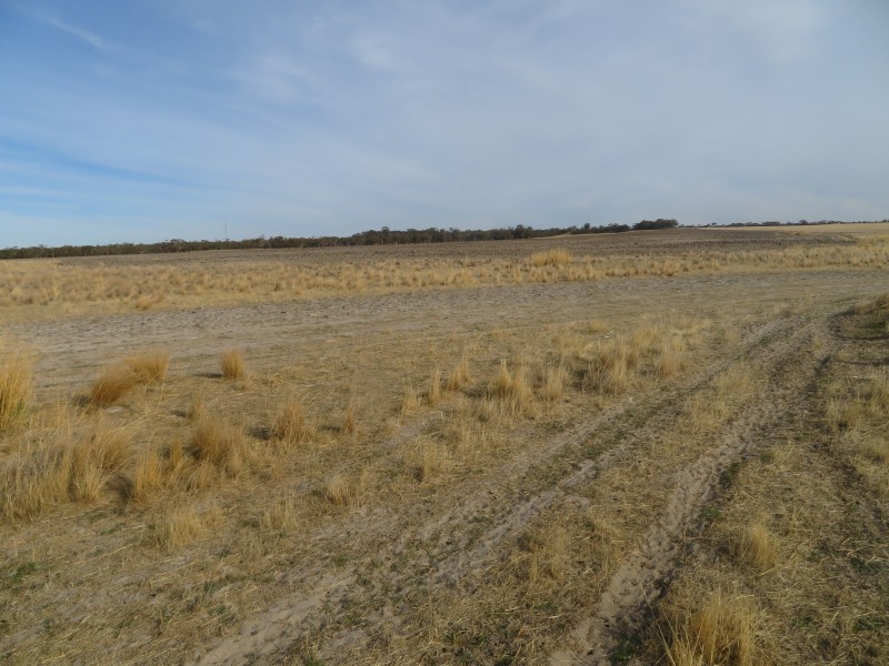 18717 Mawson Doodenanning Balkuling, Quairading WA 6383